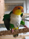 IMG20260123114536
