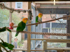 IMG_20250123_144103
