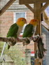IMG_20250123_144256