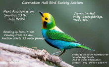 **CORONATION HALL BIRD SOCIETY AUCTION**