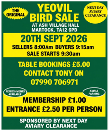 Yeovil bird sale
