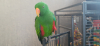 20260809_135710