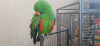 20260809_135714