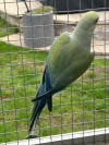 IMG_0205