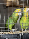 Image_20260923193700_59_20