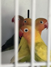 4870