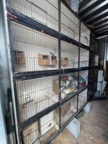 Cages now sold