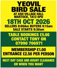 Bird sale