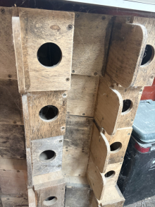 New nest boxes 