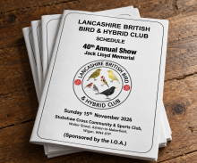 Lancashire British Bird & Hybrid Club 