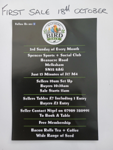 Wiltshire bird sale 