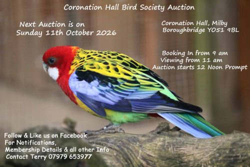 **CORONATION HALL BIRD SOCIETY AUCTION**