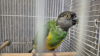 IMG-20261006-WA0002