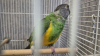 IMG-20261006-WA0004