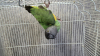 IMG-20261006-WA0005