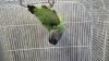 IMG-20261006-WA0006