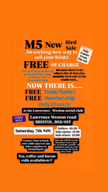 New M5 bird sale