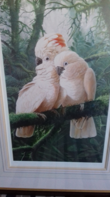 Parrot Prints
