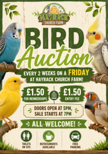 BIRD AUCTION EVERY 2 WEEKS ON A FRIDAY