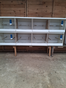 Plastic Breeding Cages 