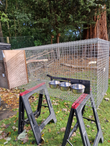 Conures Breeding set ups 