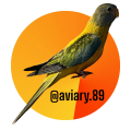 Aviary : 89 - avatar